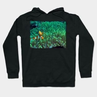 Apparel, home, tech and travel design Hoodie